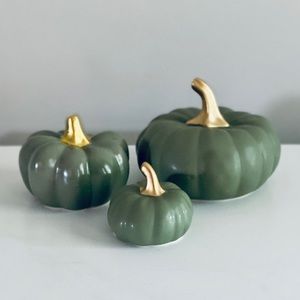 Fall farmhouse home decor ceramic pumpkins bundle